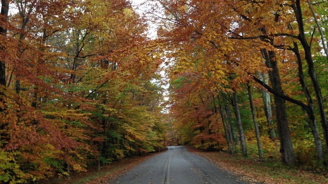 Photo of Outdoor in Manchester Center