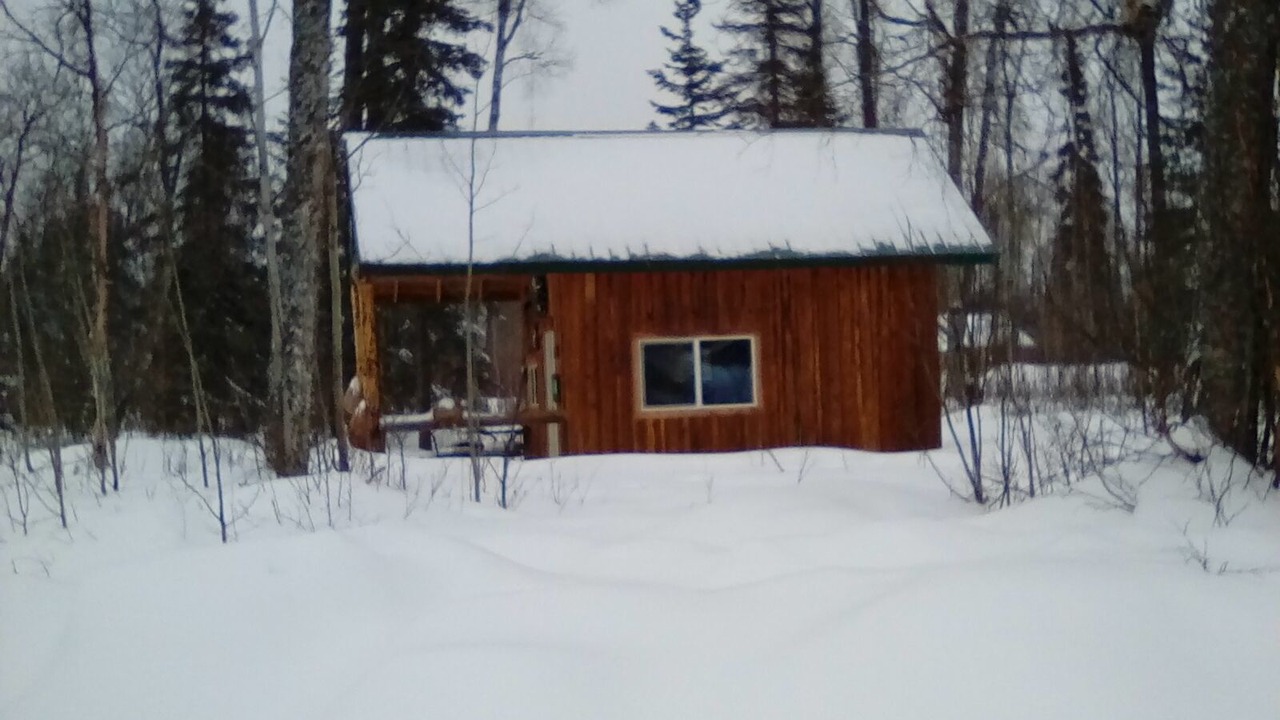 Photo of Outdoor in Talkeetna