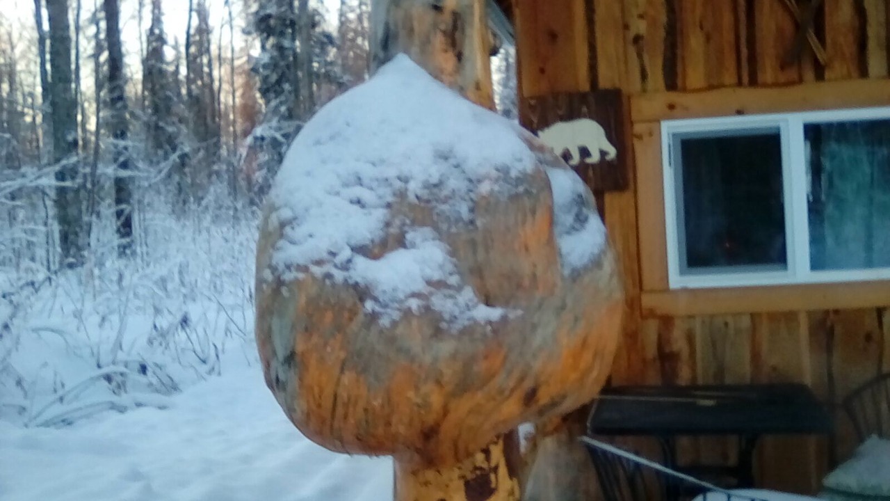 Photo of Outdoor in Talkeetna