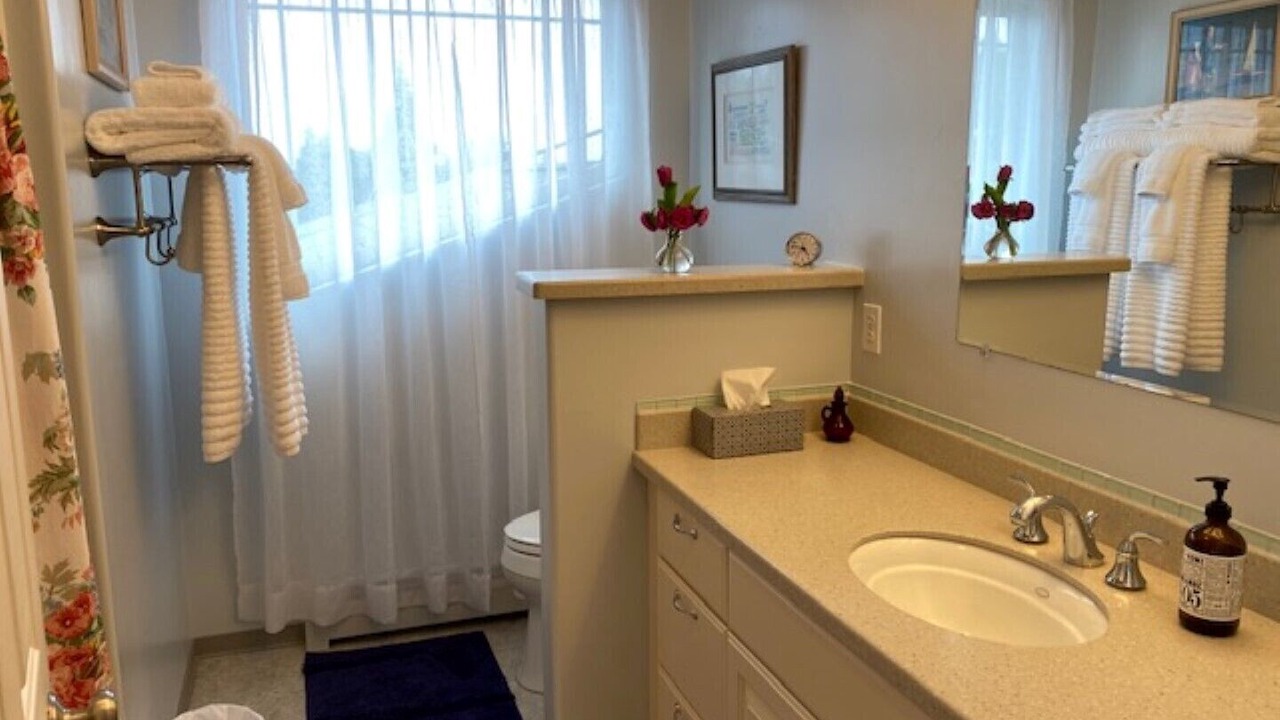 Photo of Bathroom in Homer