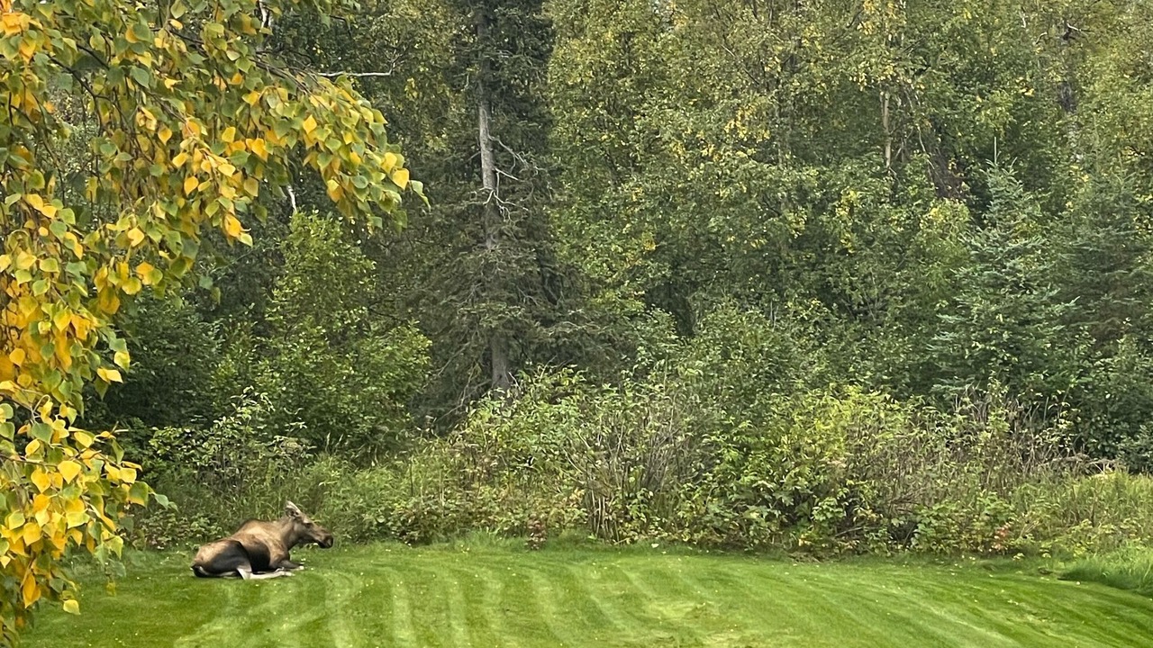 Photo of Others in Mid-Hillside