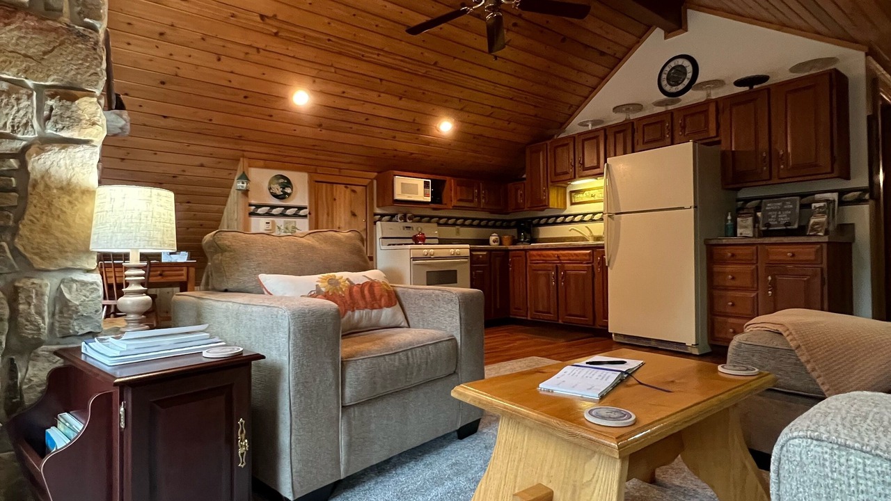 Photo of Livingroom in Ohiopyle