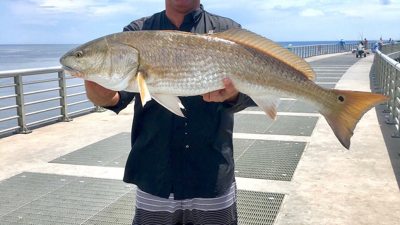 Photo of Others in Indialantic By The Sea