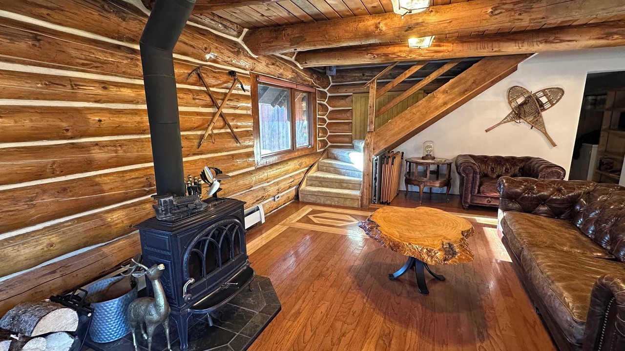 Photo of Others in Talkeetna