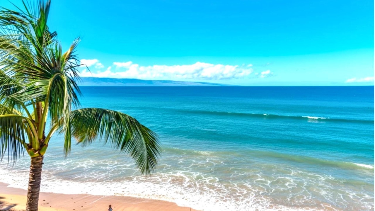 Photo of Others in Kapalua