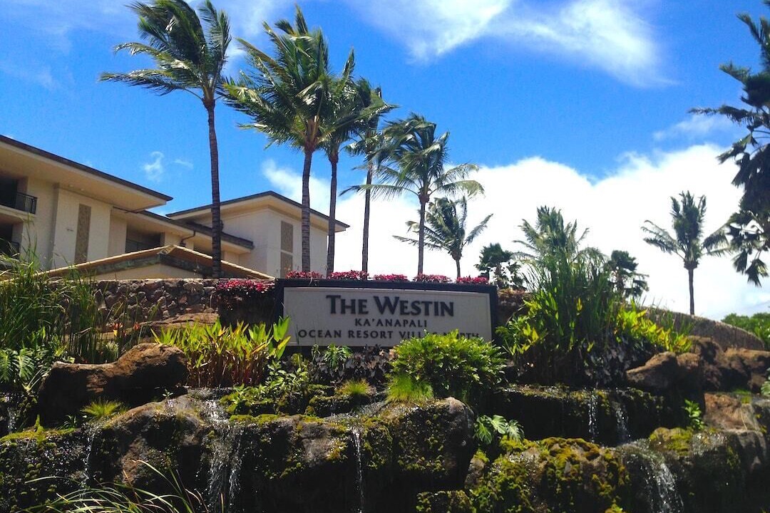Photo of Others in Kaanapali