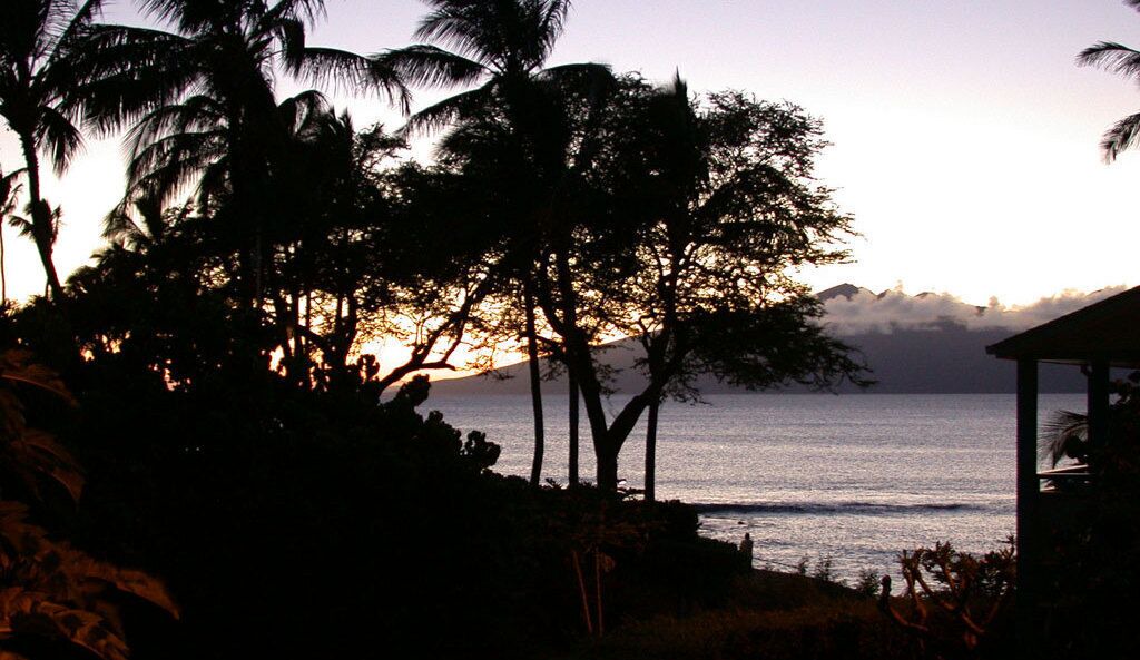 Photo of Others in Napili
