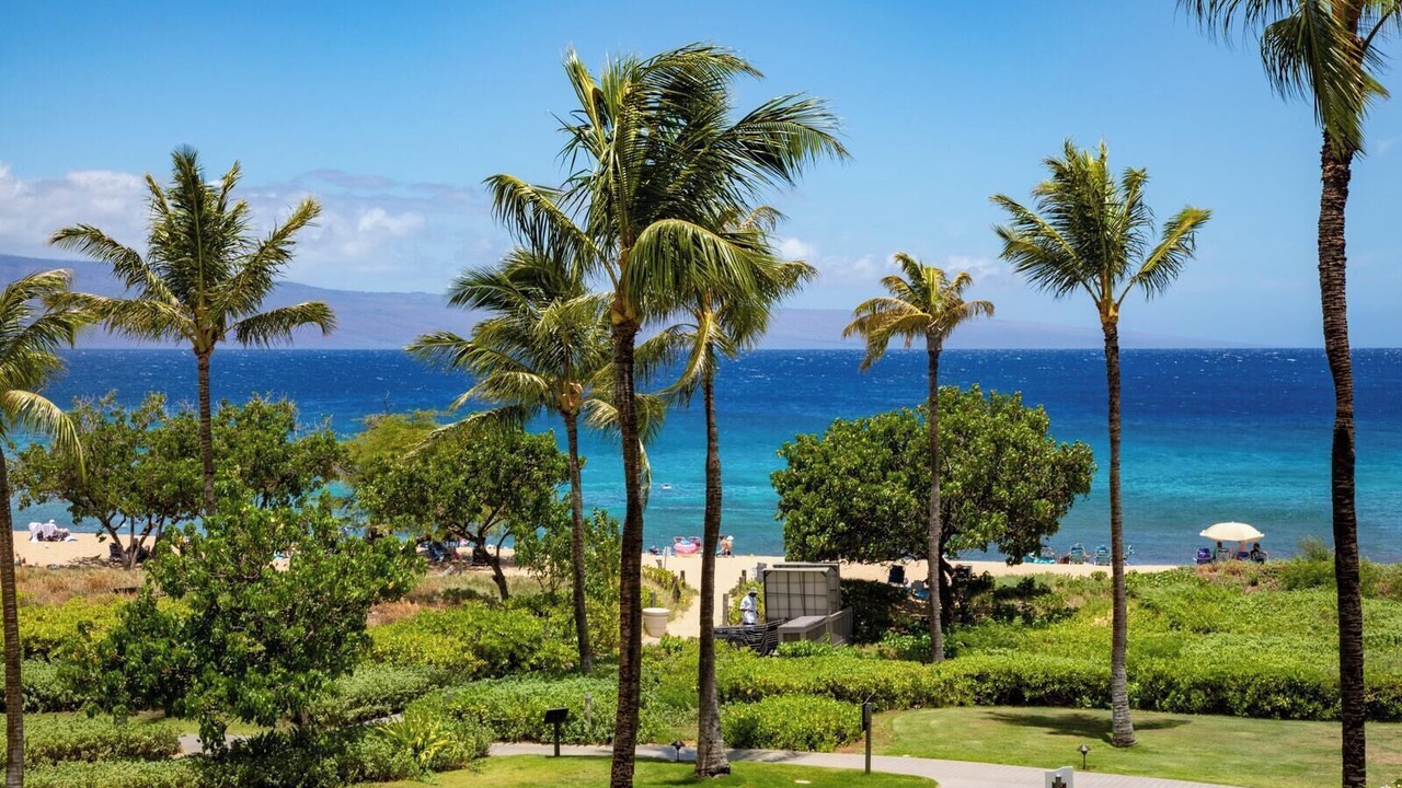 Photo of Others in Kaanapali