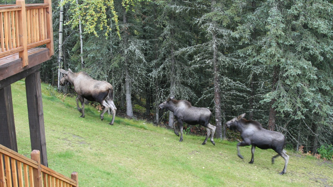 Photo of Others in Sterling