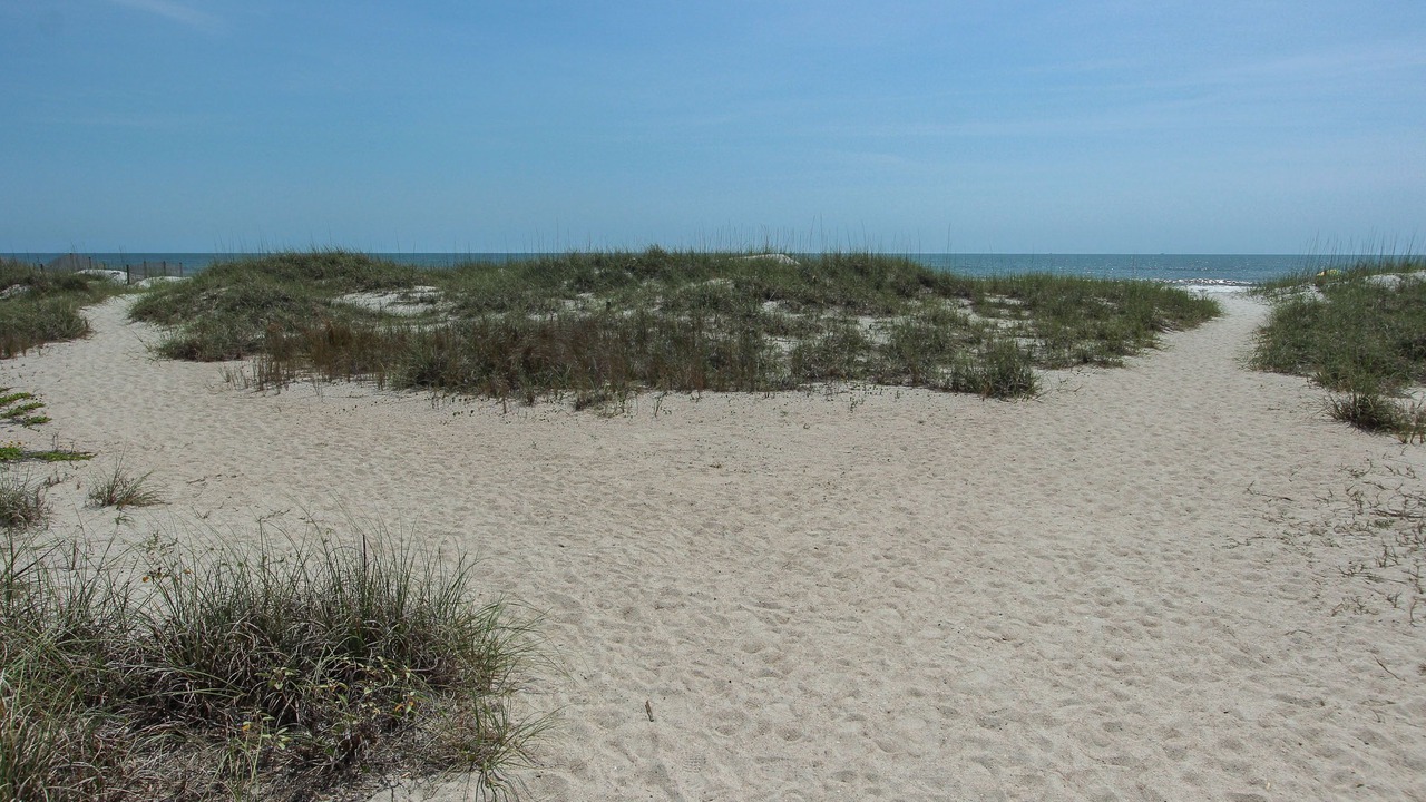 Photo of Others in Amelia City