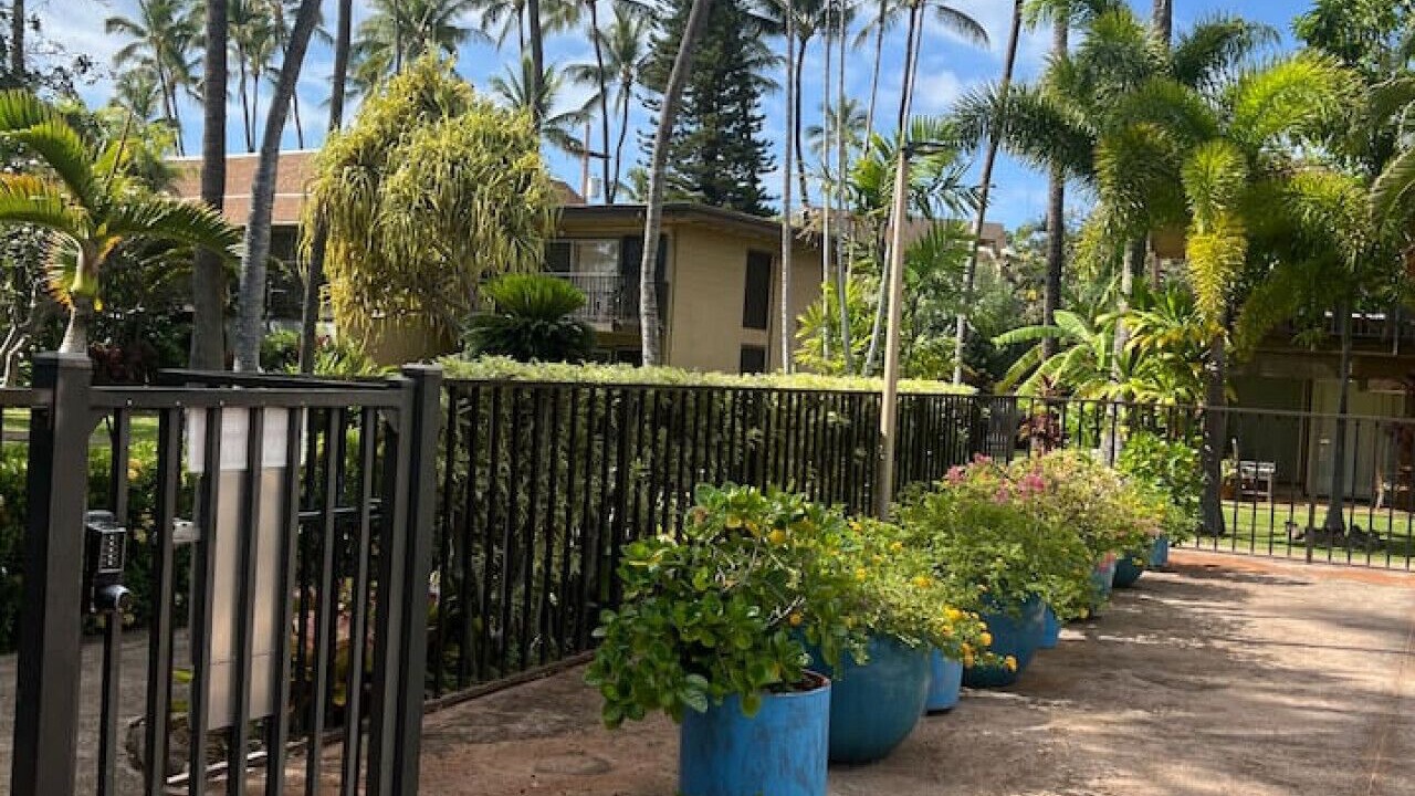 Photo of Outdoor in Honokowai
