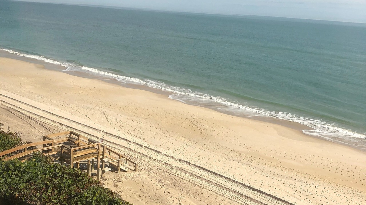 Photo of Others in Melbourne Beach