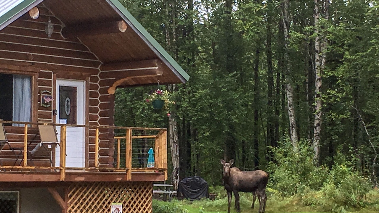Photo of Others in Susitna North