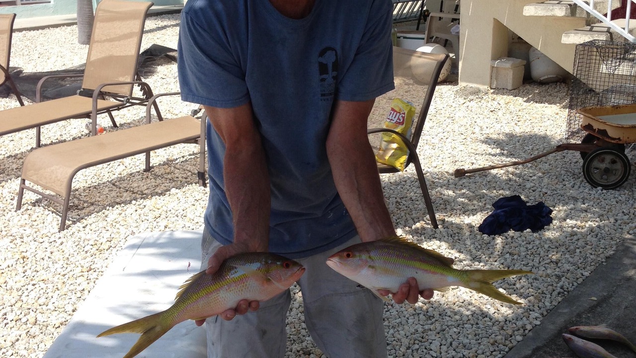 Photo of Others in Key Colony Beach
