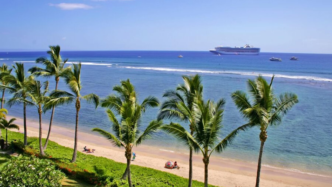Photo of Others in Historic Lahaina Front Street