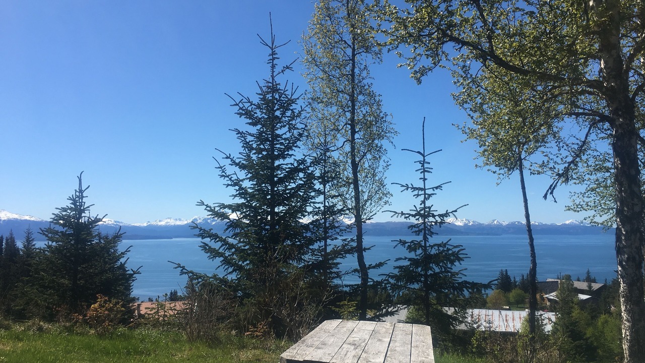 Photo of Others in Homer