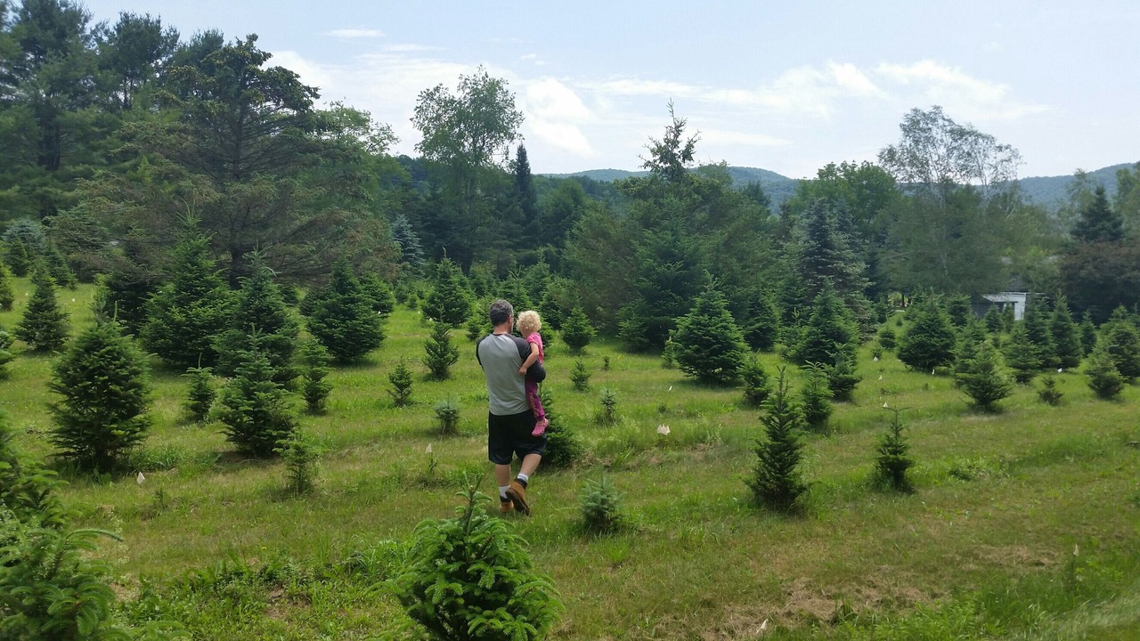 Photo of Others in North Bennington