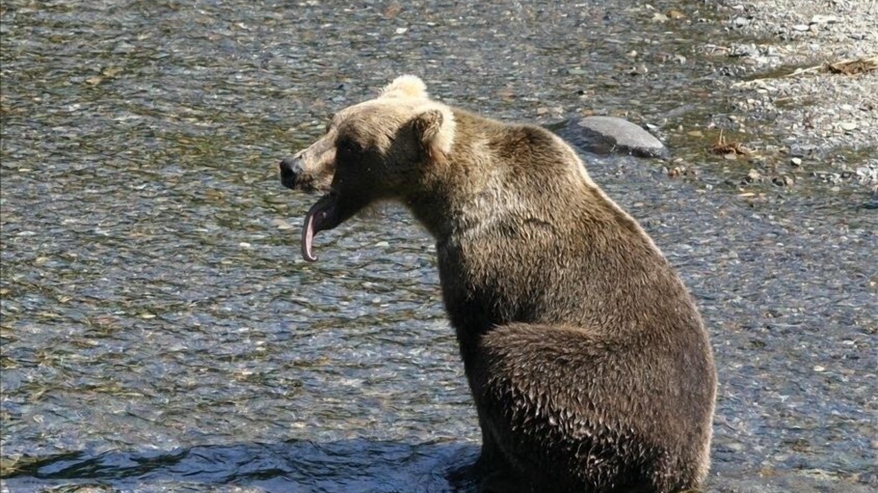 Photo of Others in Sterling