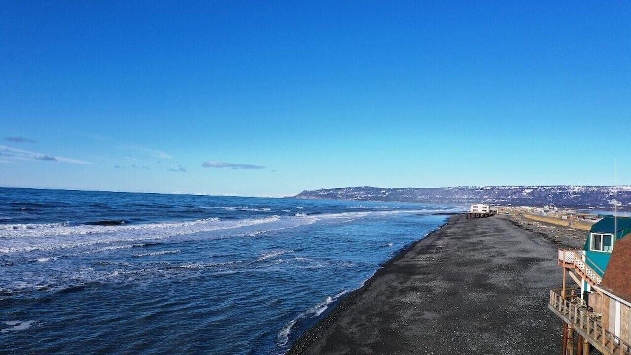 Photo of Others in Homer