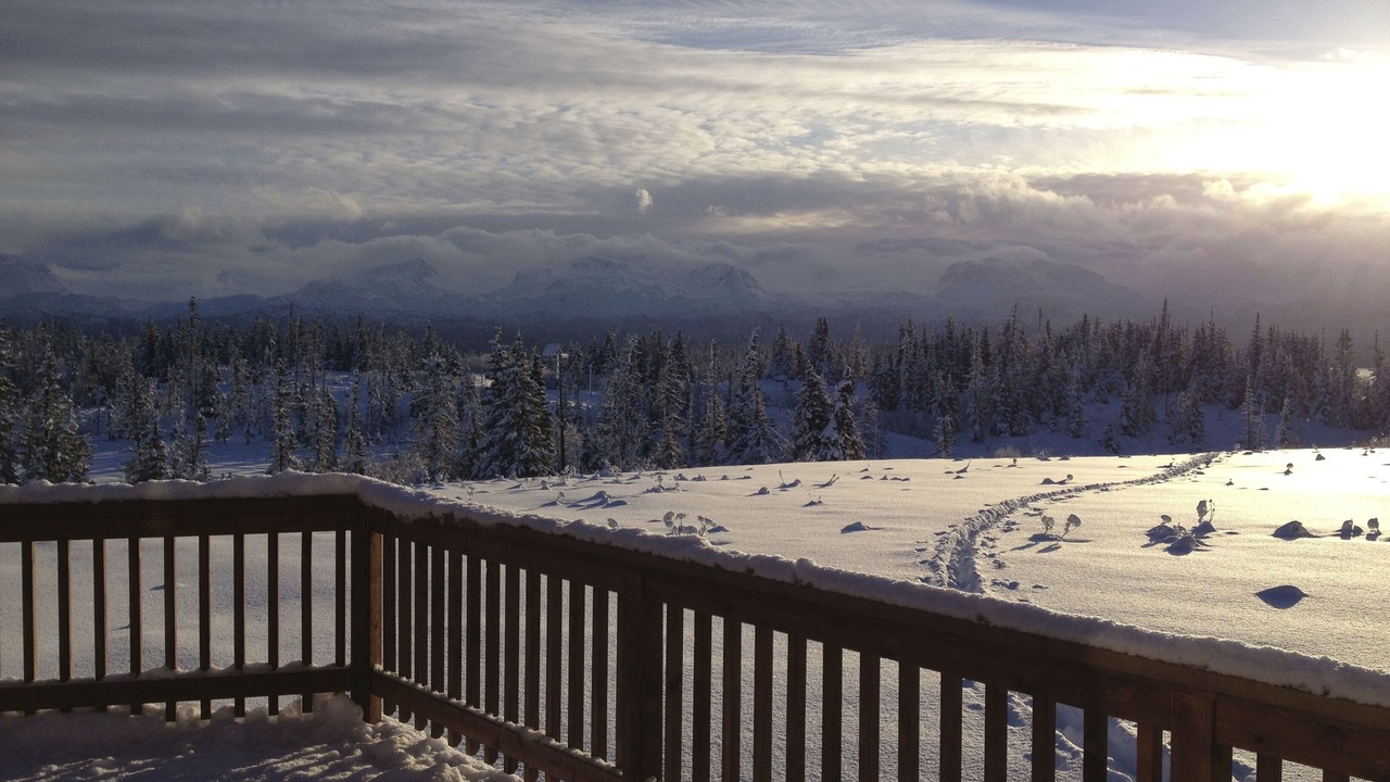 Photo of Others in Homer