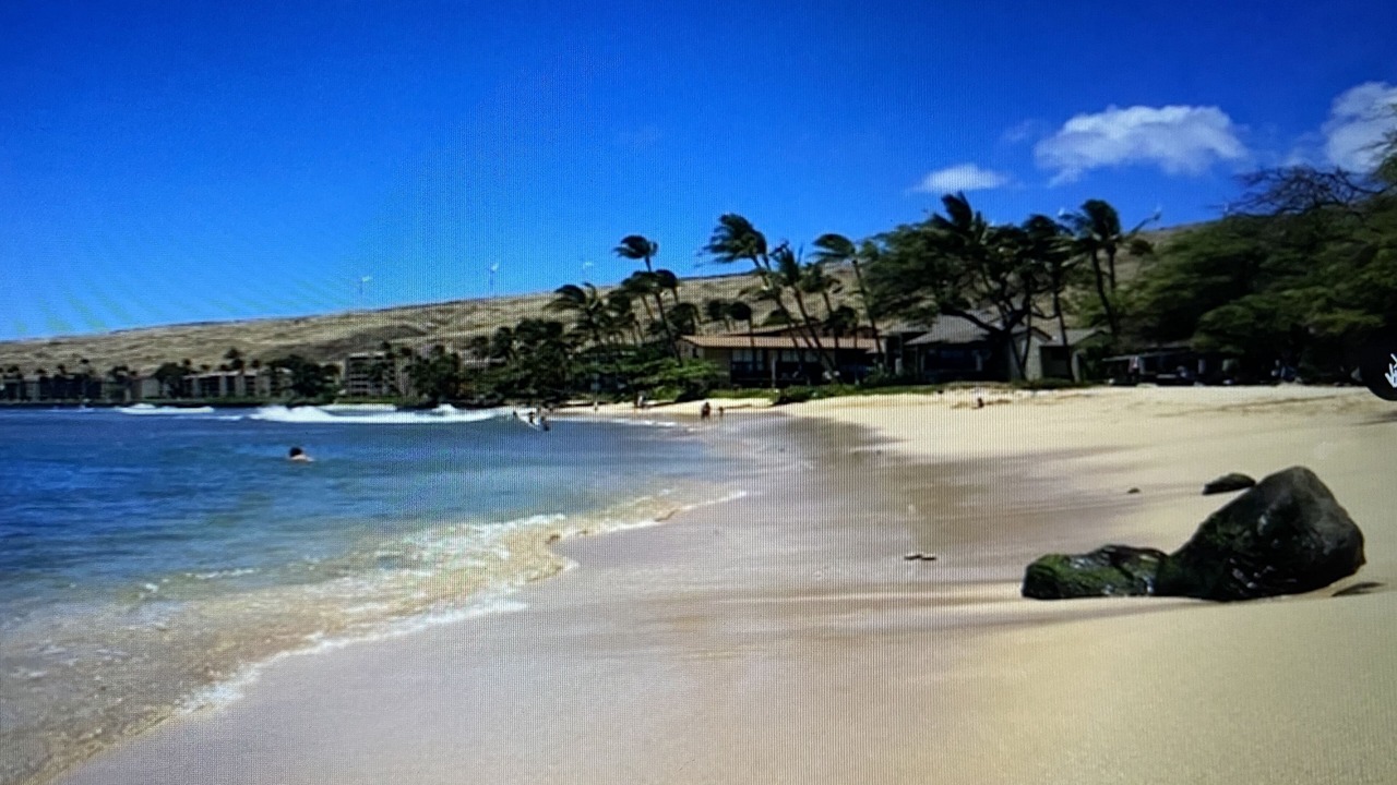 Photo of Others in Maalaea
