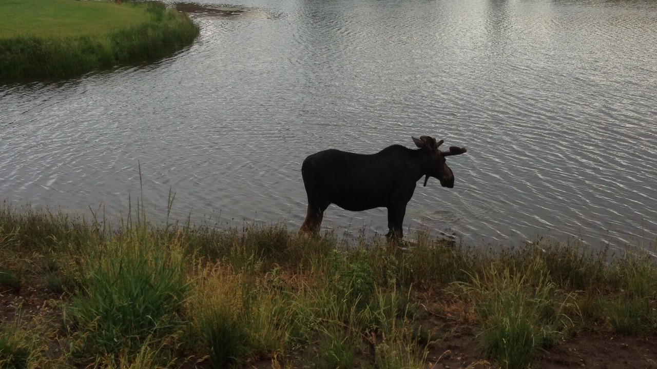 Photo of Others in Park Meadows