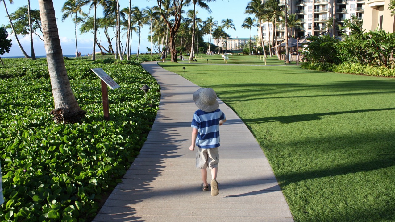 Photo of Outdoor in Honokowai