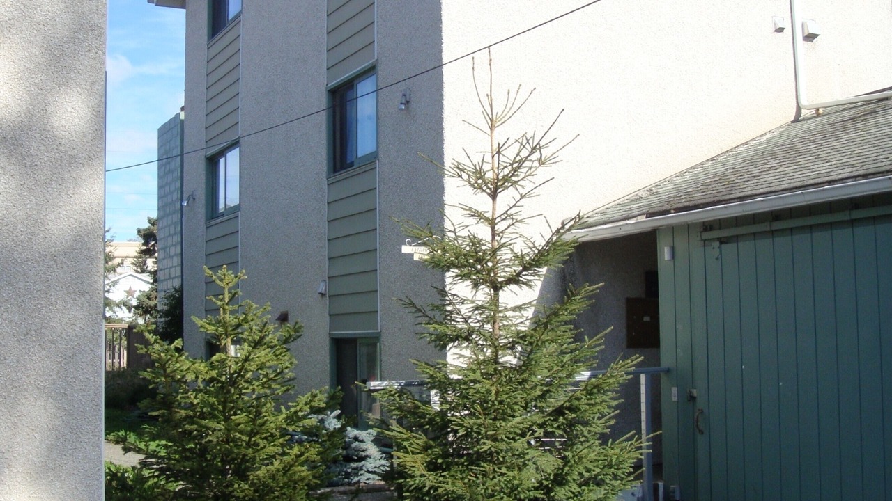 Photo of Outdoor in Downtown Anchorage