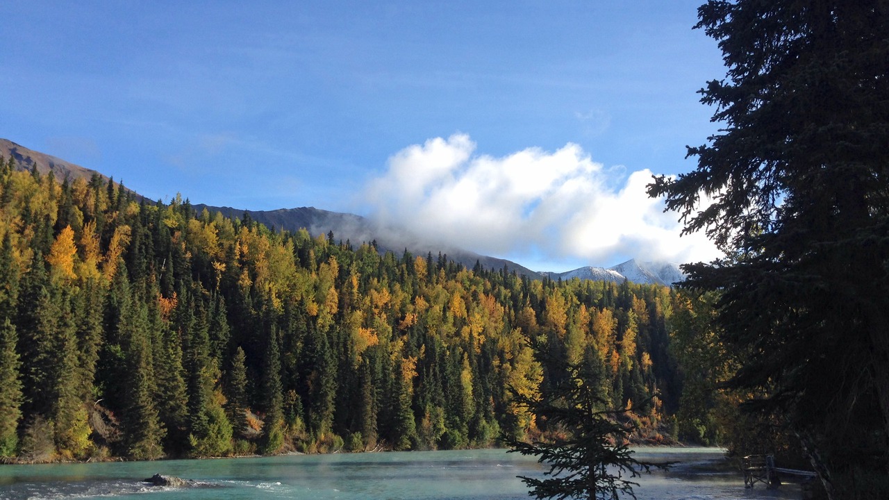 Photo of Others in Kenai Peninsula