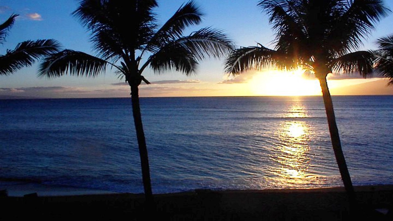 Photo of Others in Kaanapali