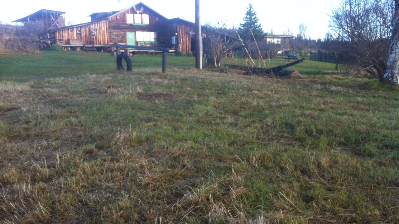 Photo of Outdoor in Fritz Creek