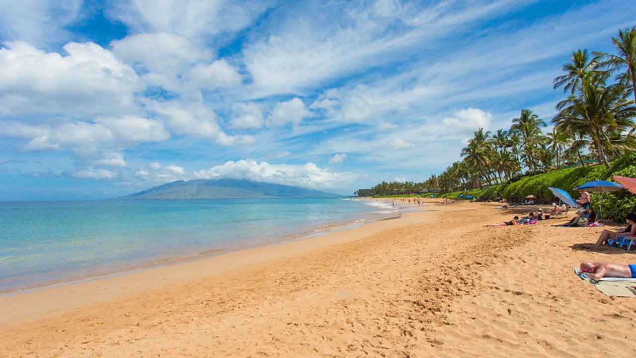 Photo of Others in Wailea