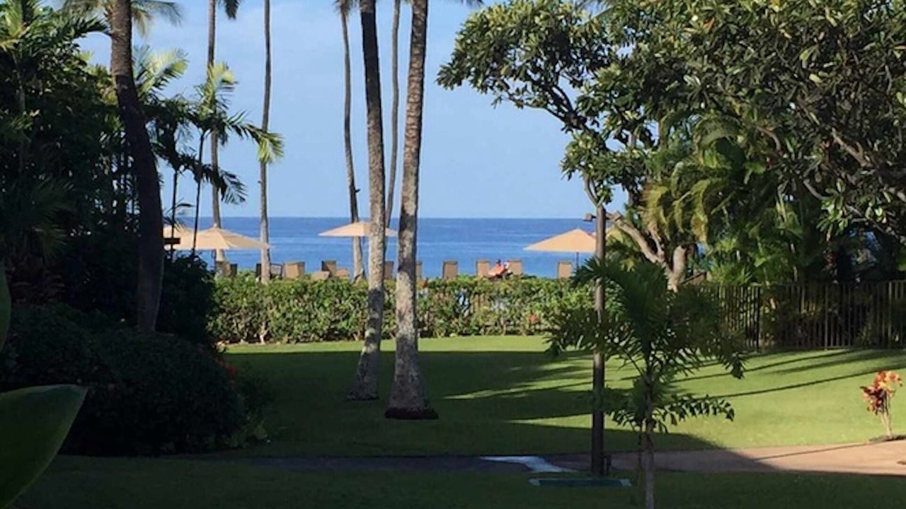Photo of Outdoor in Wailea