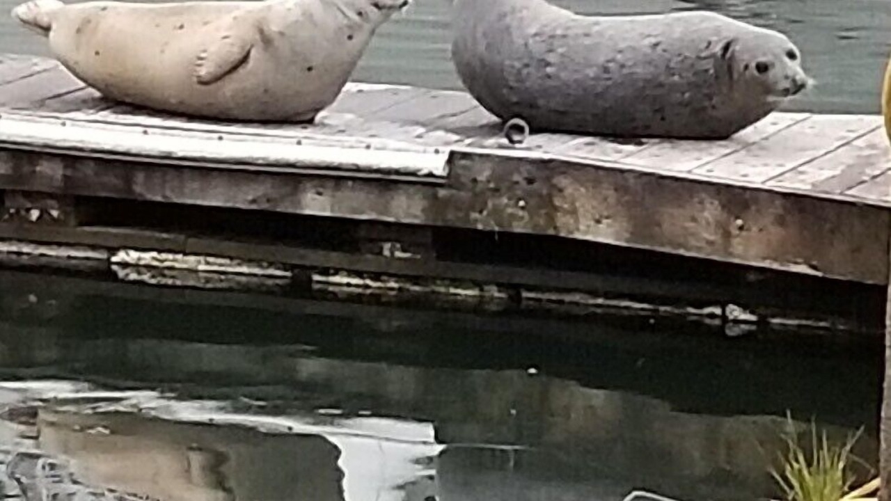 Photo of Others in Juneau