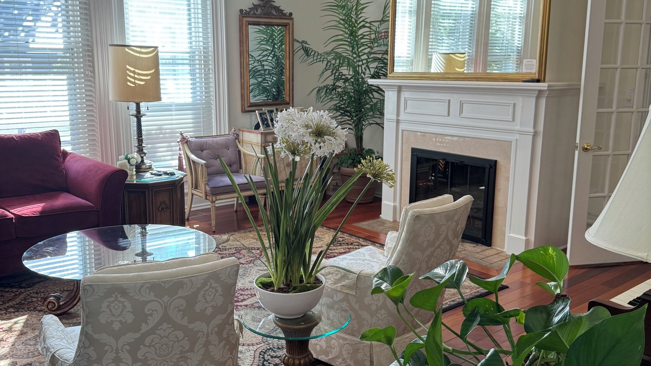 Photo of Livingroom in Saratoga Springs