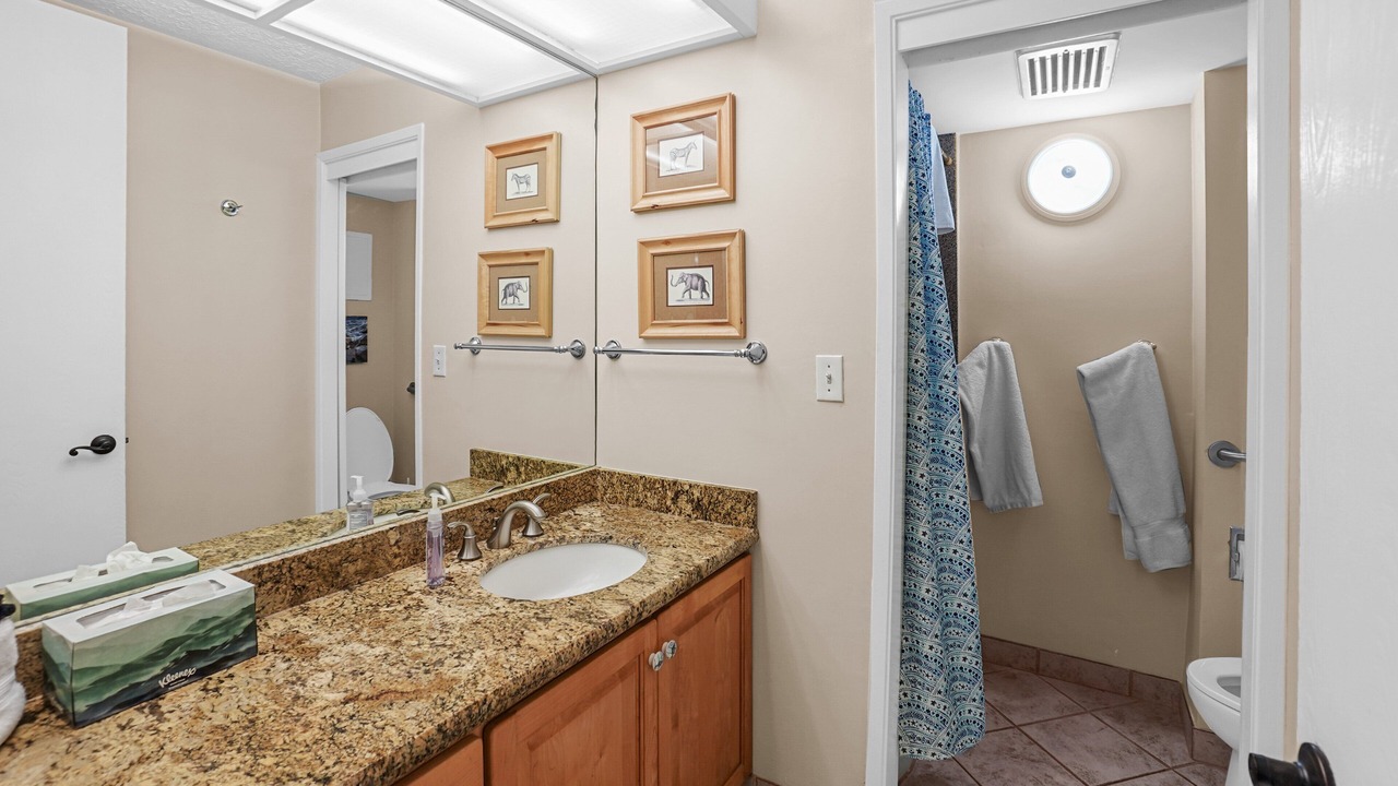Photo of Bathroom in Honokowai