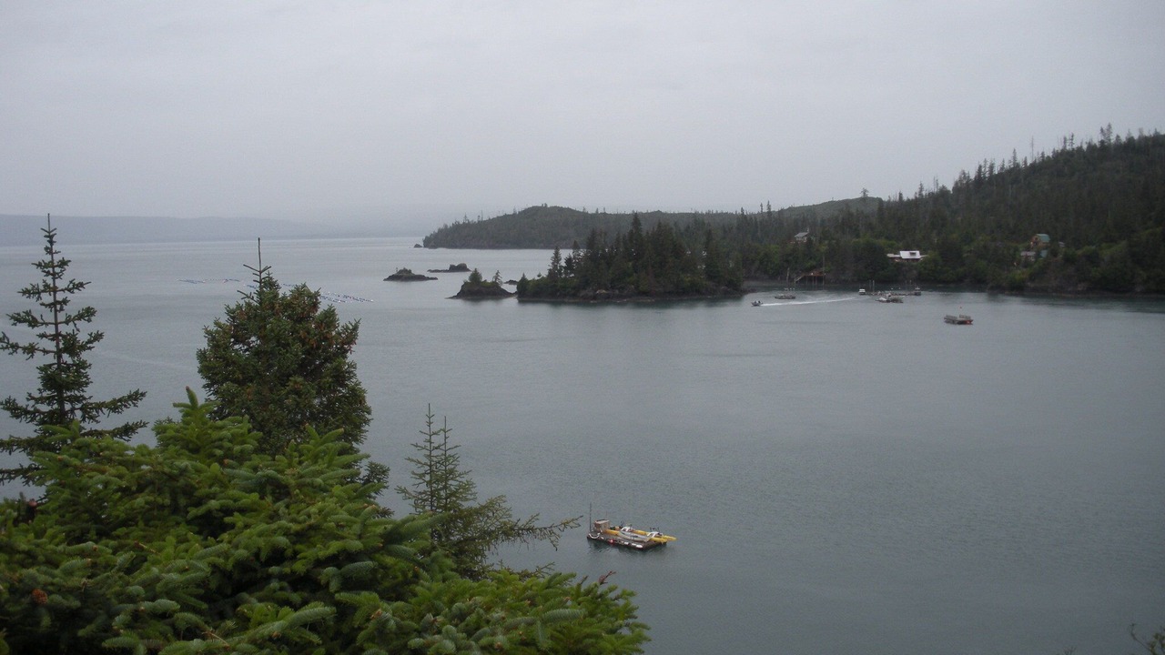 Photo of Others in Homer