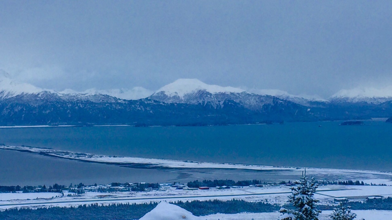 Photo of Others in Homer