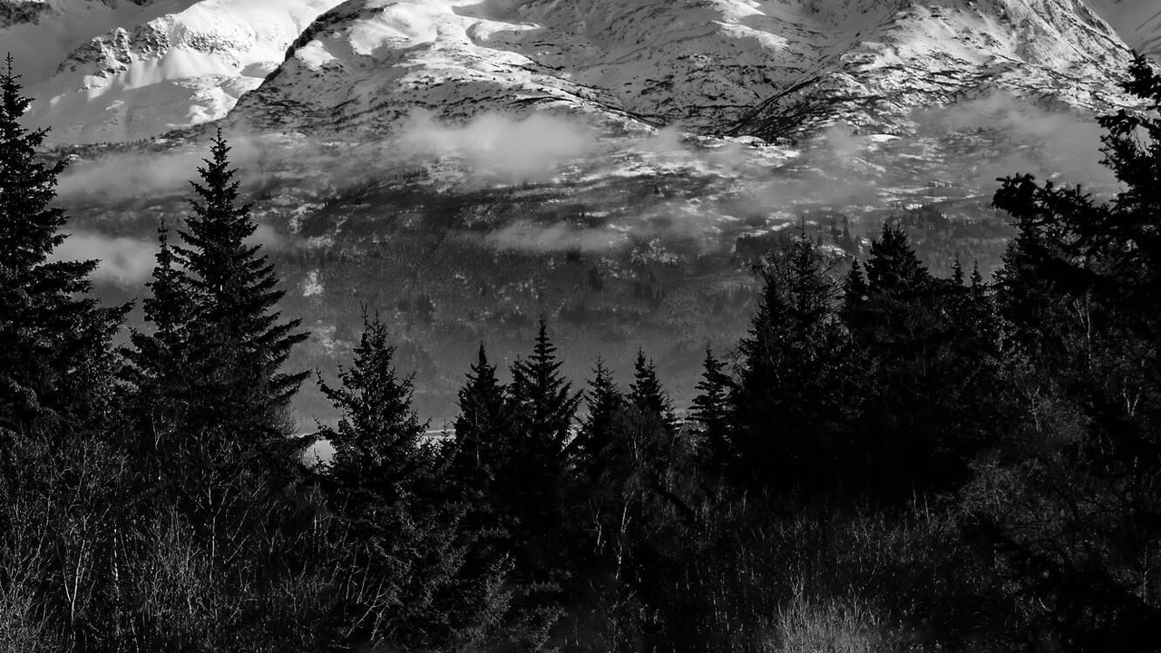 Photo of Others in Homer