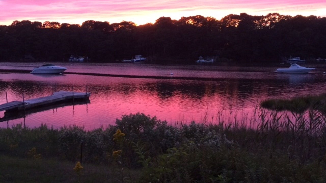 Photo of Others in East Falmouth