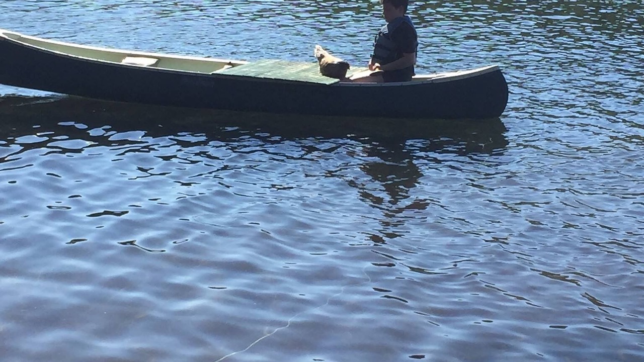 Photo of Others in Nikiski