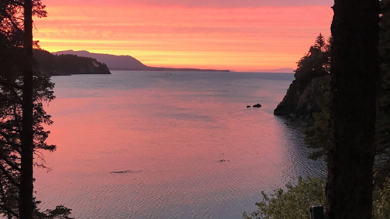 Photo of Others in Kodiak