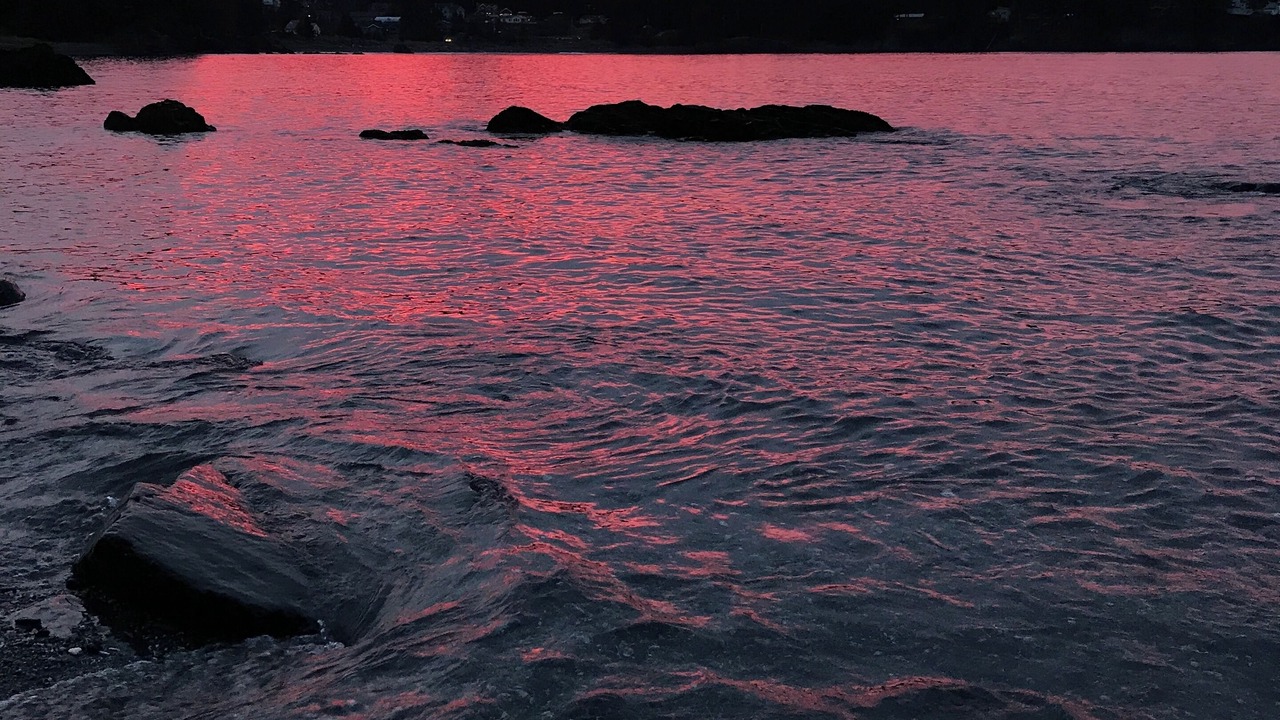 Photo of Others in Kodiak