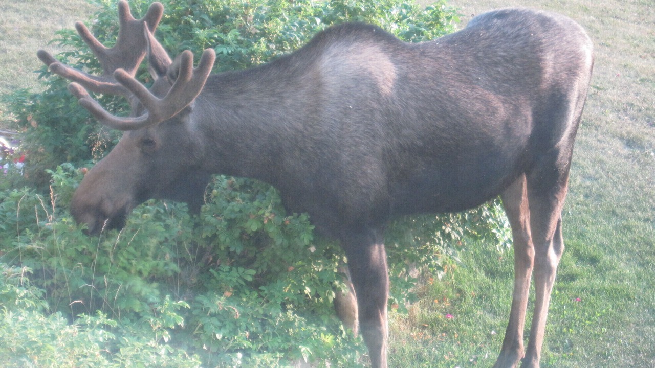 Photo of Others in Rabbit Creek