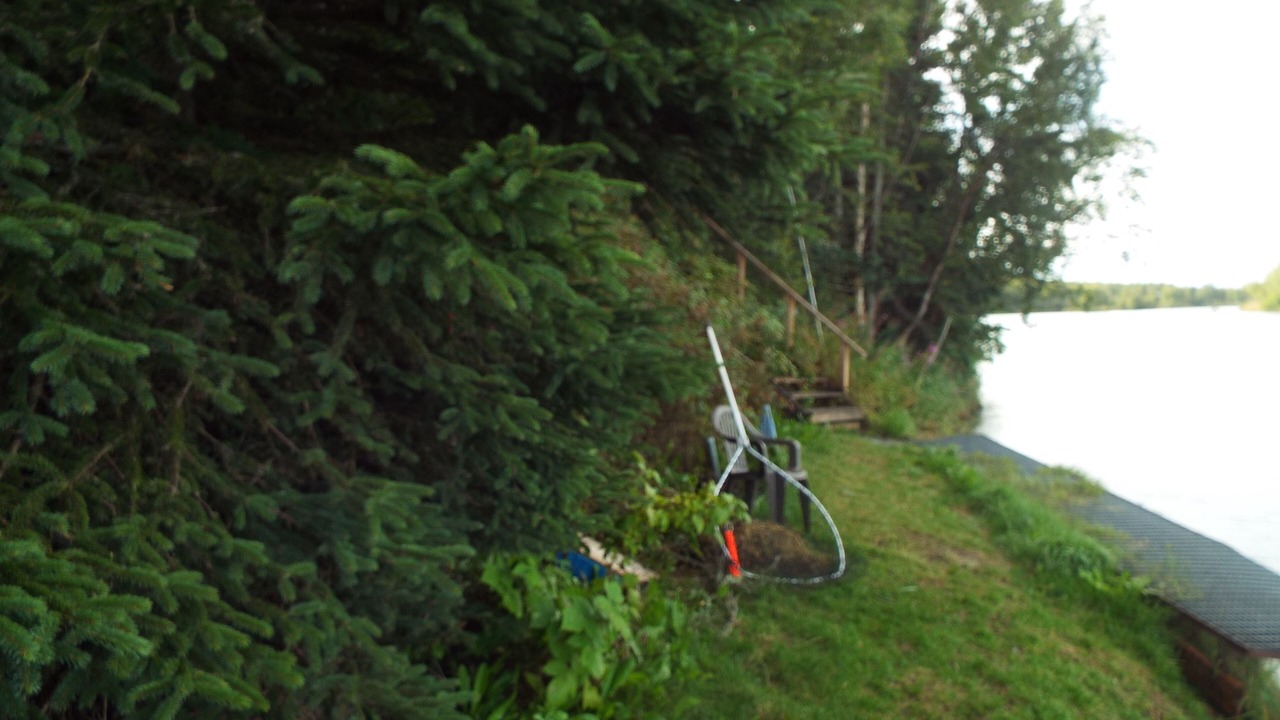 Photo of Outdoor in Kalifornsky