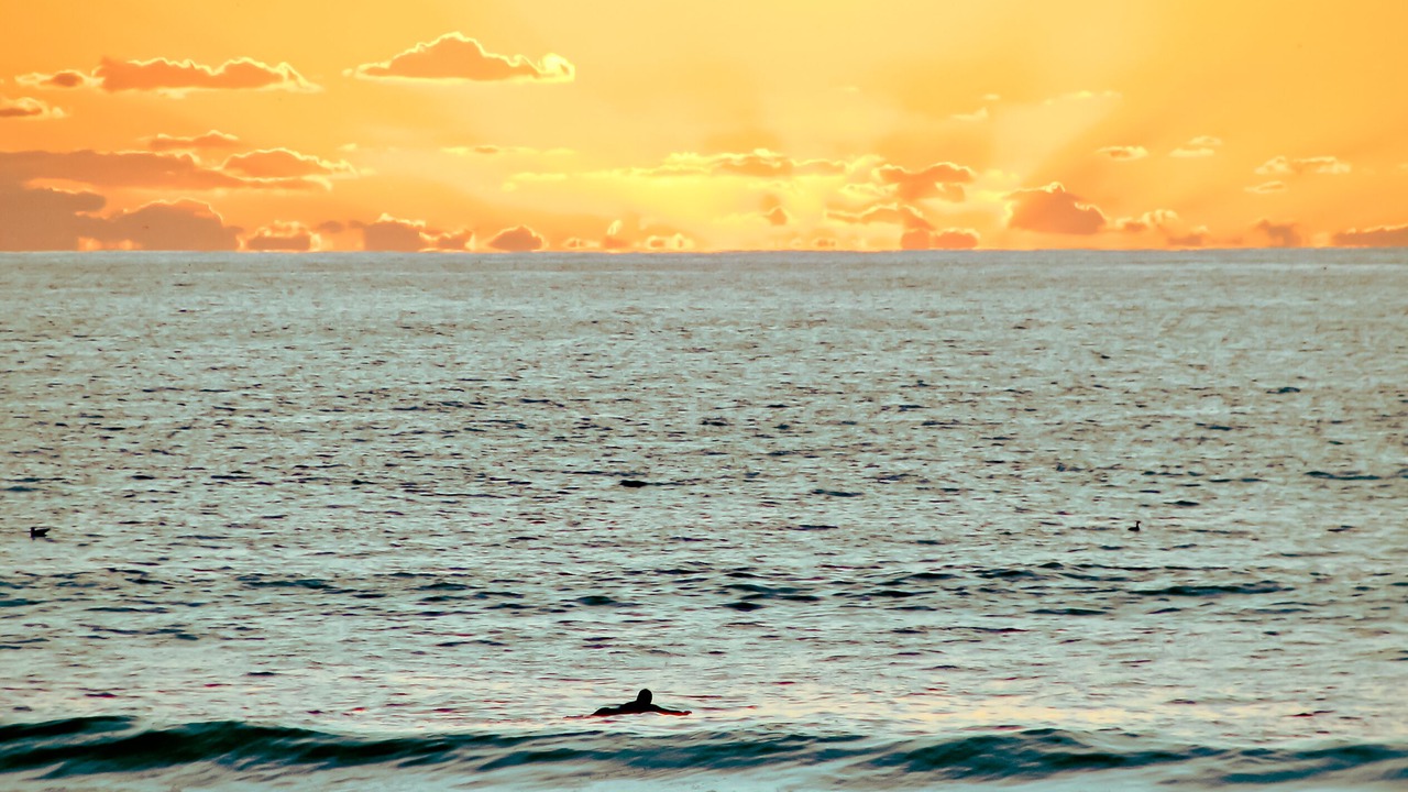 Photo of Others in Mission Beach