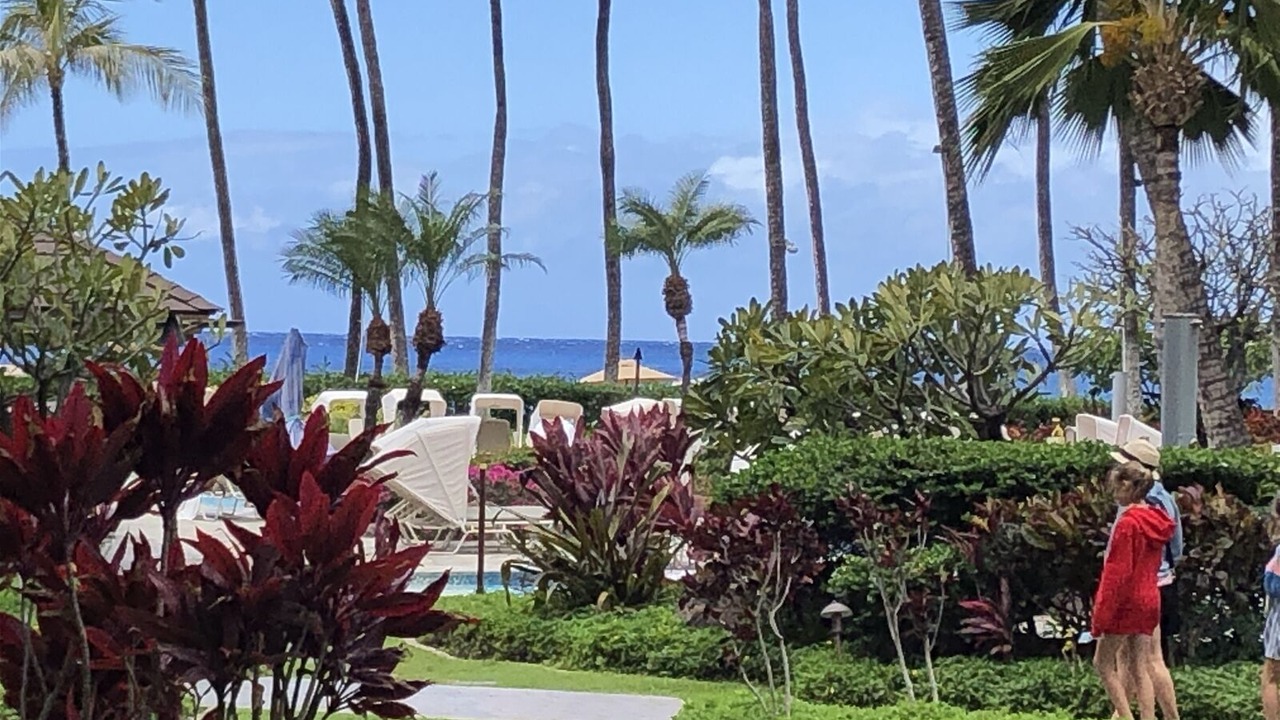 Photo of Outdoor in Kaanapali