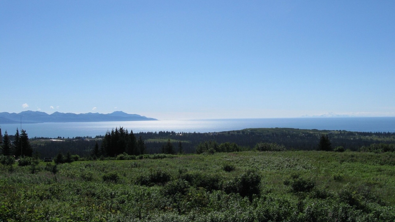Photo of Others in Diamond Ridge