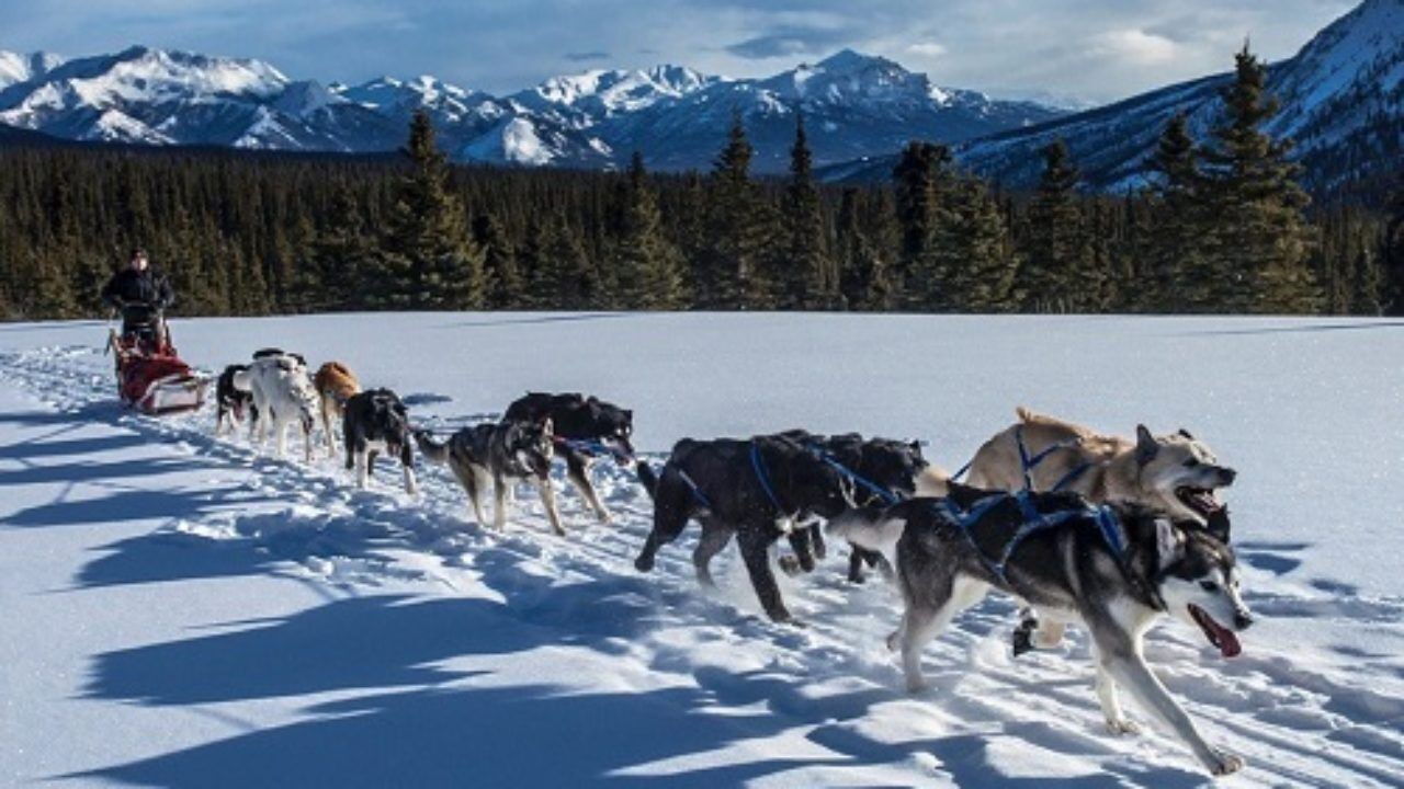 Photo of Others in Alyeska