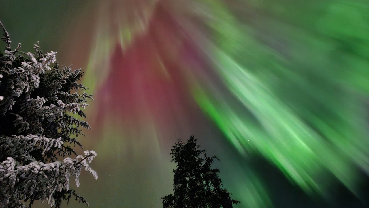 Photo of Others in Alyeska
